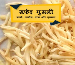 Safed Musli Powder Benefits Fayde In Hindi - सफ़ेद मुस्ली के फायदे